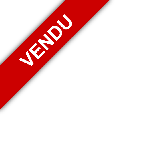bandeau Agence Immobilière du Château