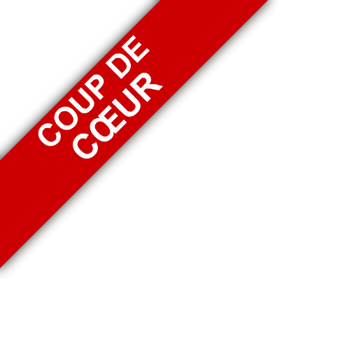 bandeau Agence Immobilière du Château